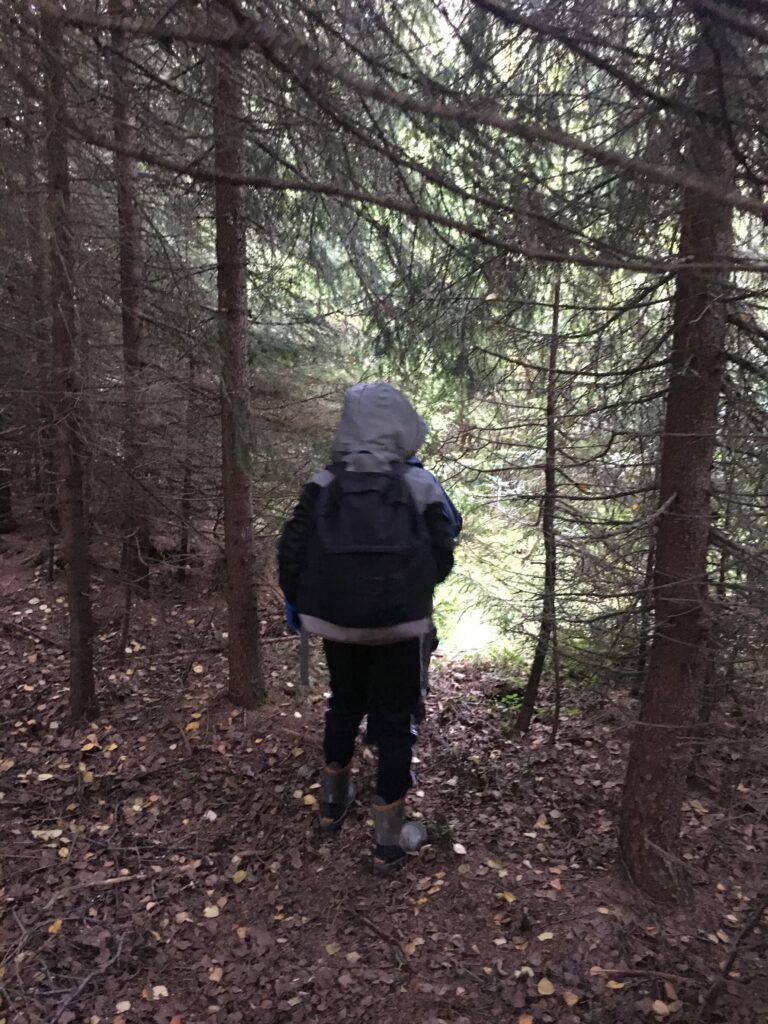 Skolskogen